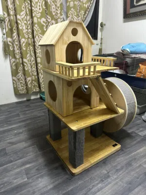 House cat for fur babies
