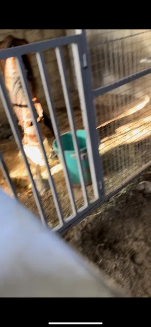 ‏شهري ‏.‏ 1000 م٢‏3