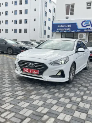 Hyundai . Sonata . Daily1