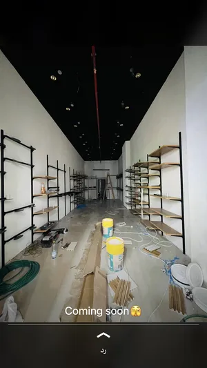 55 m2 . Landlord3