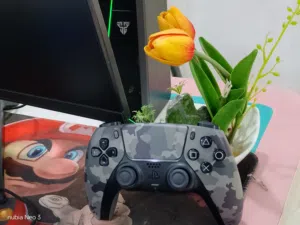 ps5 controller same new