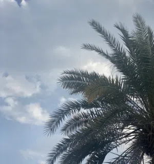 AL 