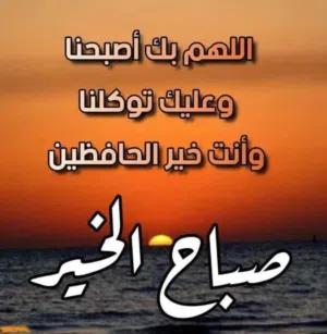 wasss فني ستلايت  Satelite  ستاند تلفزيون