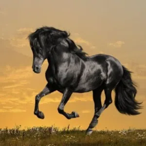 متعب الخيل 