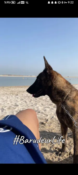 ملنوا العمر 9 شهور