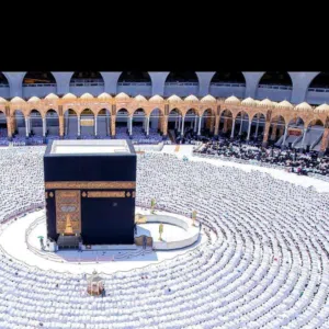 عثمان ..ابوحذيفة الشارف