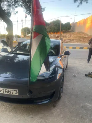 Used Tesla Model 3 in Irbid