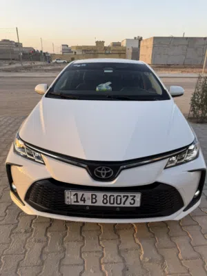 كورلا هايبرد تجميع صيني 2025 حرة بأسمي