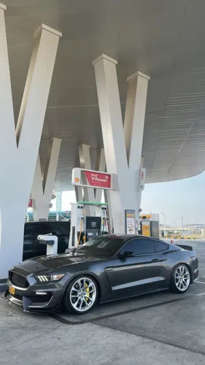 Mustang5.0