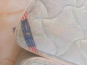 تخوت مفرد عدد اثنين