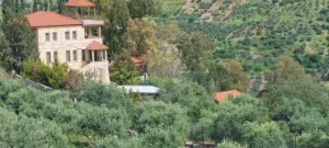 Residential Land for Sale in Amman Abu Al-Sous