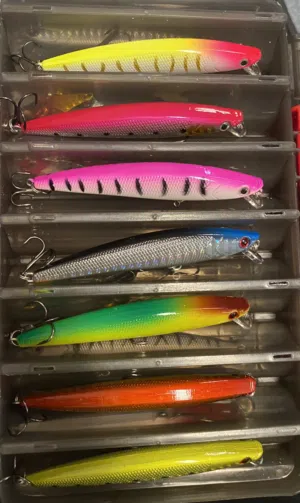 لورات صيد كاستينج