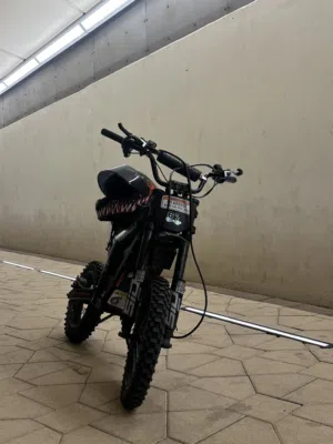 Kugoo wish 01 moded and very loud sound