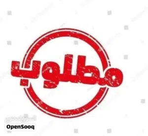 مطلوب طيور فنش