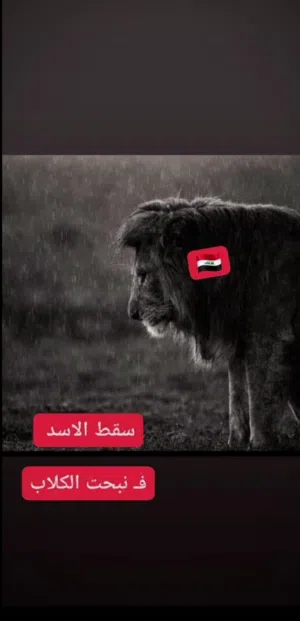 حيدر فلاح 
