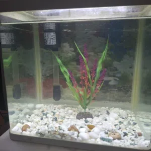 tank for sale