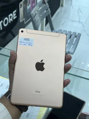 ipad mini 5th generation 256GB-wifi+Cellular-Excellent condition