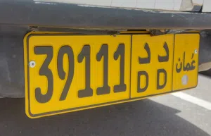 39111  د د