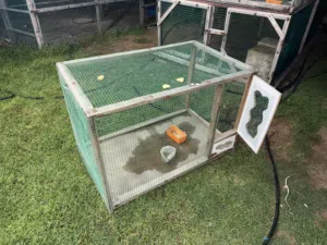 Cages and other stuff for sale