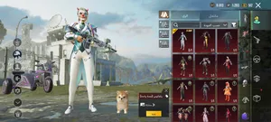 Pubg Accounts and Characters for Sale in Al Mahwit