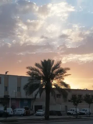 يوسف ساطع الشيخ محمد 