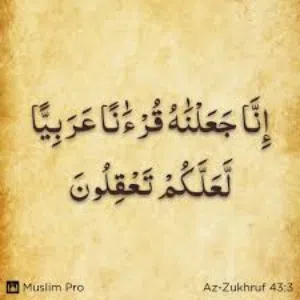 محفظ قران كريم