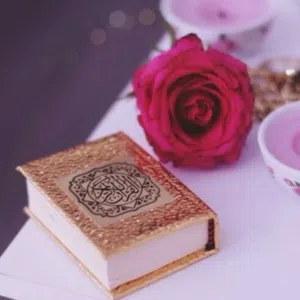 عبود 