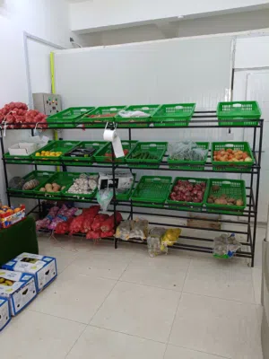 ستاند للخضار والفواكه مع 20 سلة خضراء