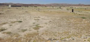Farm Land for Sale in Al Dakhiliya Bahla