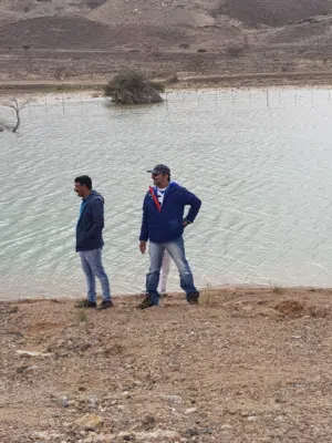 Kamal 