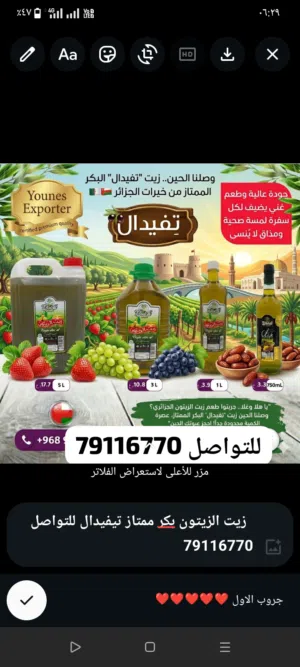 زيت الزيتون بكر ممتاز تيفيدال الجزائري