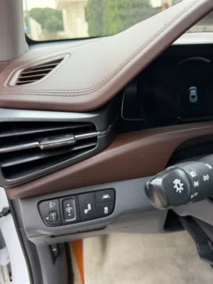 Ioniq ev 2020