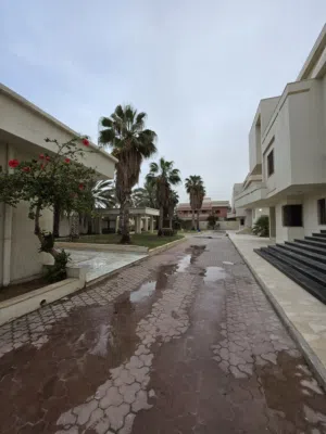 متوفر 2 فيلات للايجار الخدمي تصلح نشاط جامعات او مدارس الموقع حي دمشق