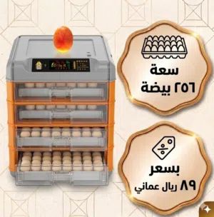 فقاصات بيض أوتوماتيكية بالكامل - مواصفات حديثة ونسبة تفقيس عالية