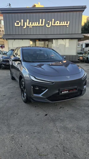 نيتا اكس 2023 400km