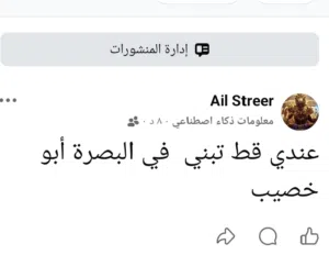قط شيرازي و هملايا