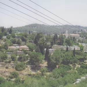 ماهر شاكر