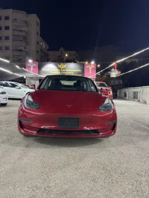 Tesla Model 3 Standard Range Plus 2023