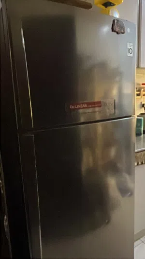 LG Fridge (refrigerator and freezer)
