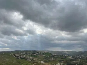 Farm Land for Sale in Zarqa Sarout