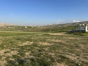ارض 3500 m للبيع صروت ابو خشيبة قرب شاليهات