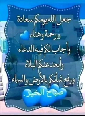 فحم زيتون للبيع