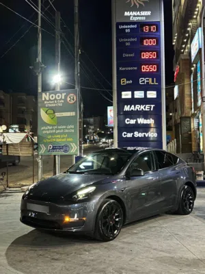 Tesla y long range 2023