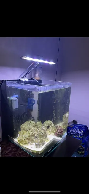 Aquarium saltwater