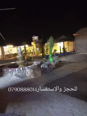شللية نبر ون
