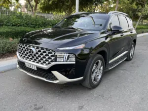 Especial Hyundai Santa fee 2022, full panorama