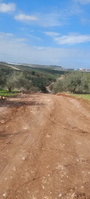 Mixed Use Land for Sale in Jenin American University