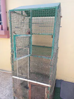 عاجل بيعه مستعجله قفص