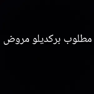 مطلوب بركديلو مروض تبديل مستعجل