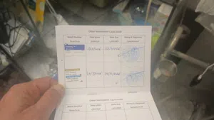 بوميرانيان